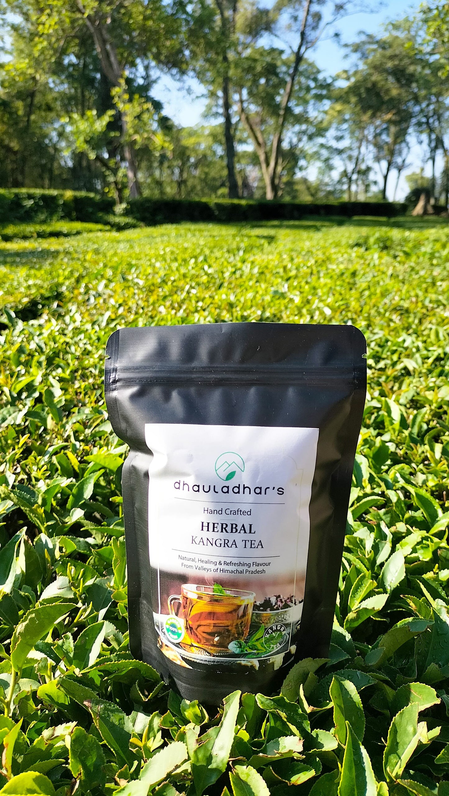 Dhauladhar's Herbal Kangra Tea